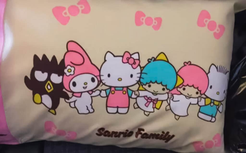 hello kitty plane pillow with all the characters