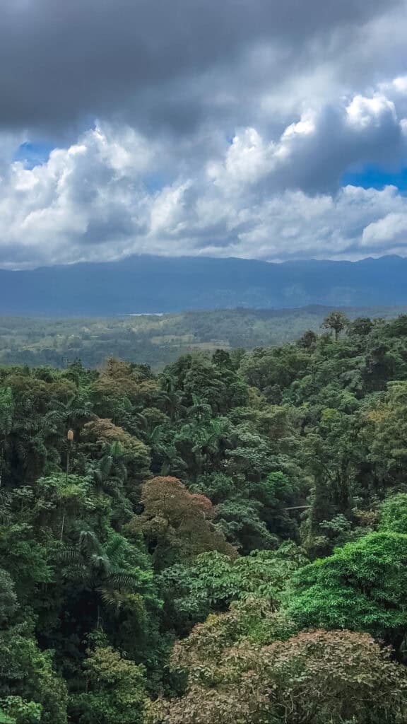 view from the mistico hanging bridges