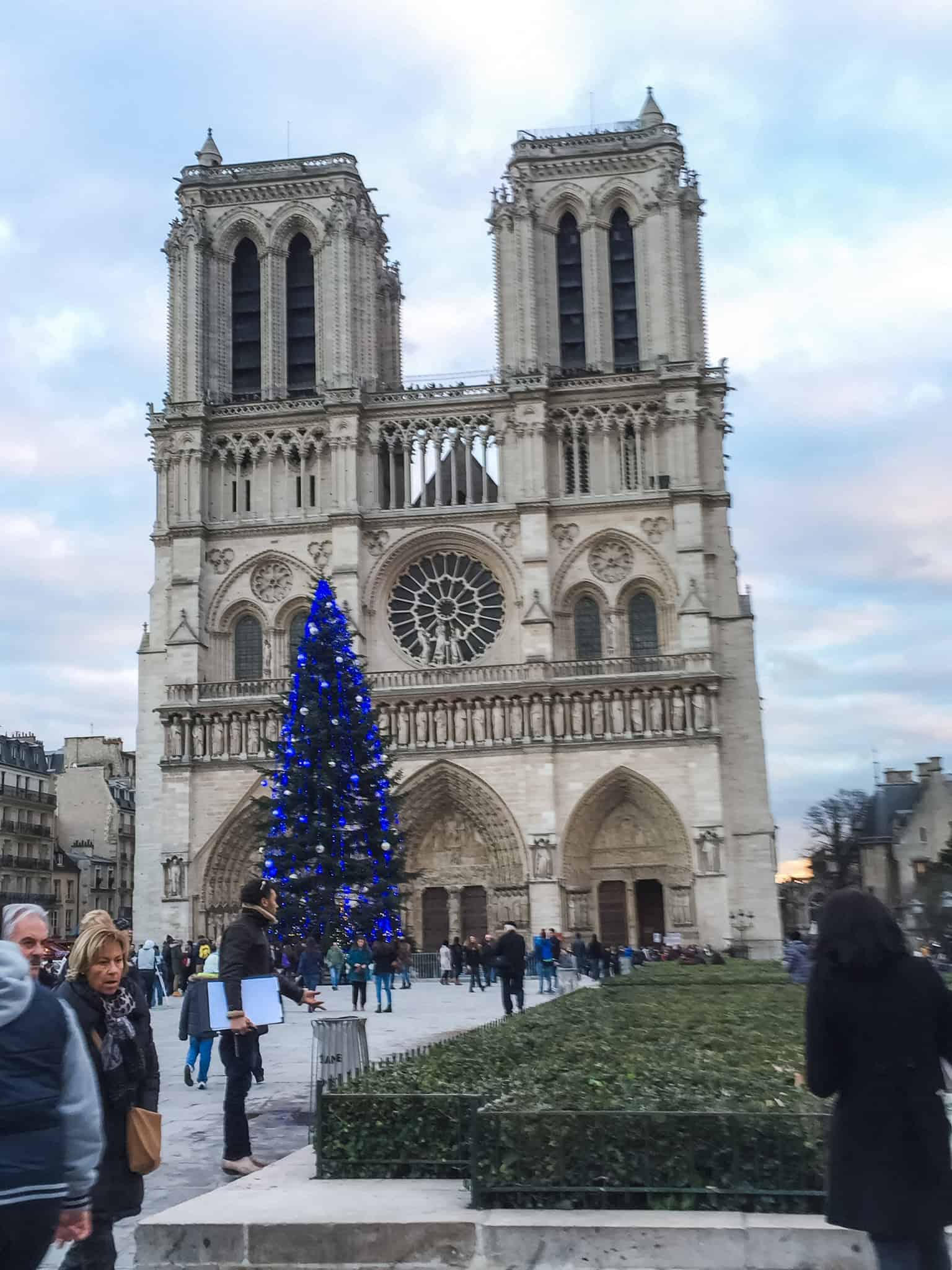 The façade of Notre-Dame Cathedral with a glowing blue Christmas tree, capturing the magic of Paris in winter.