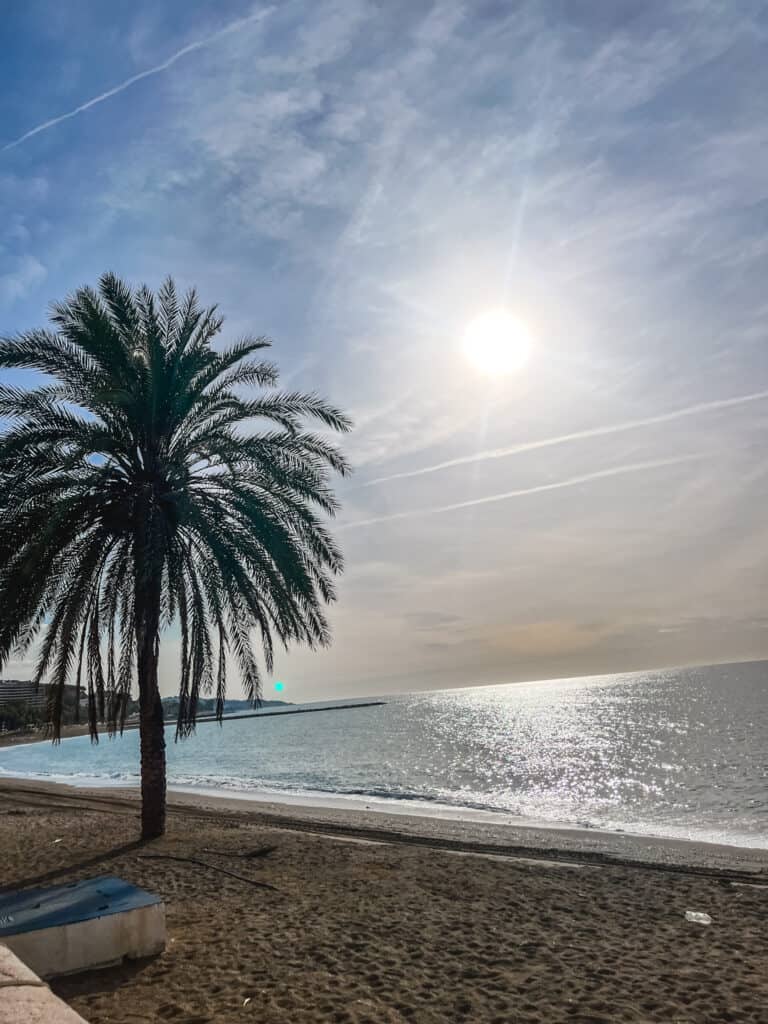 Beautiful beach with palm trees showing relaxing things to do in malaga at the best beaches in malaga