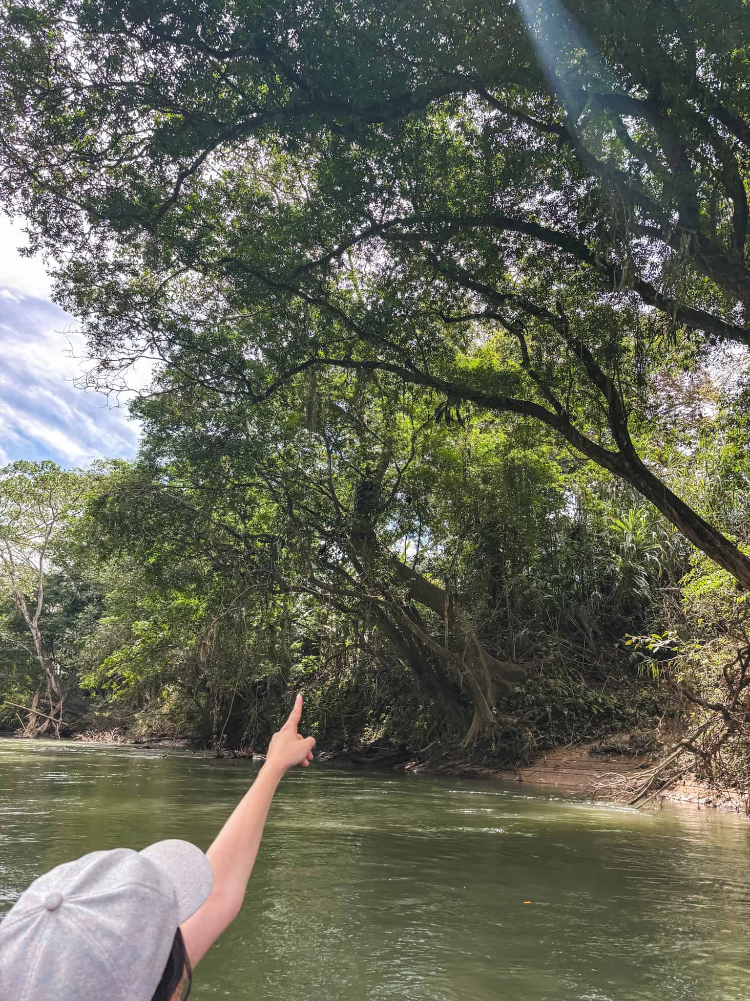 pointing to the trees on a safari float tour in la fortuna