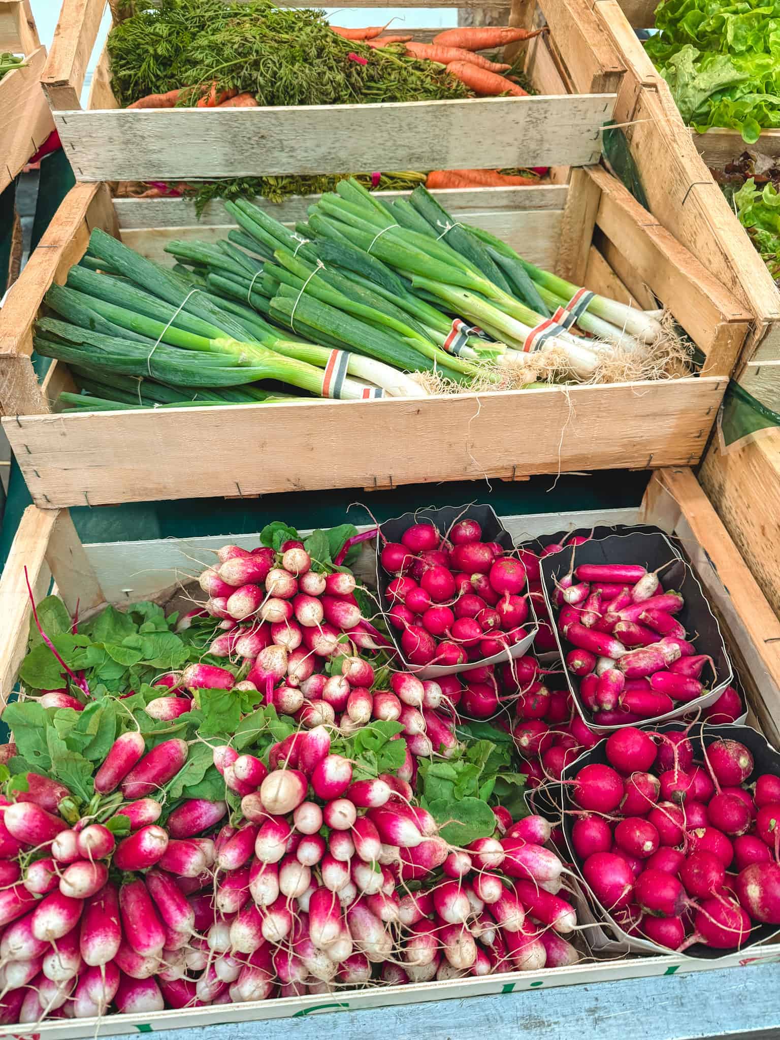 Vibrant fresh radishes, leeks, and seasonal vegetables at Parisian farmers market