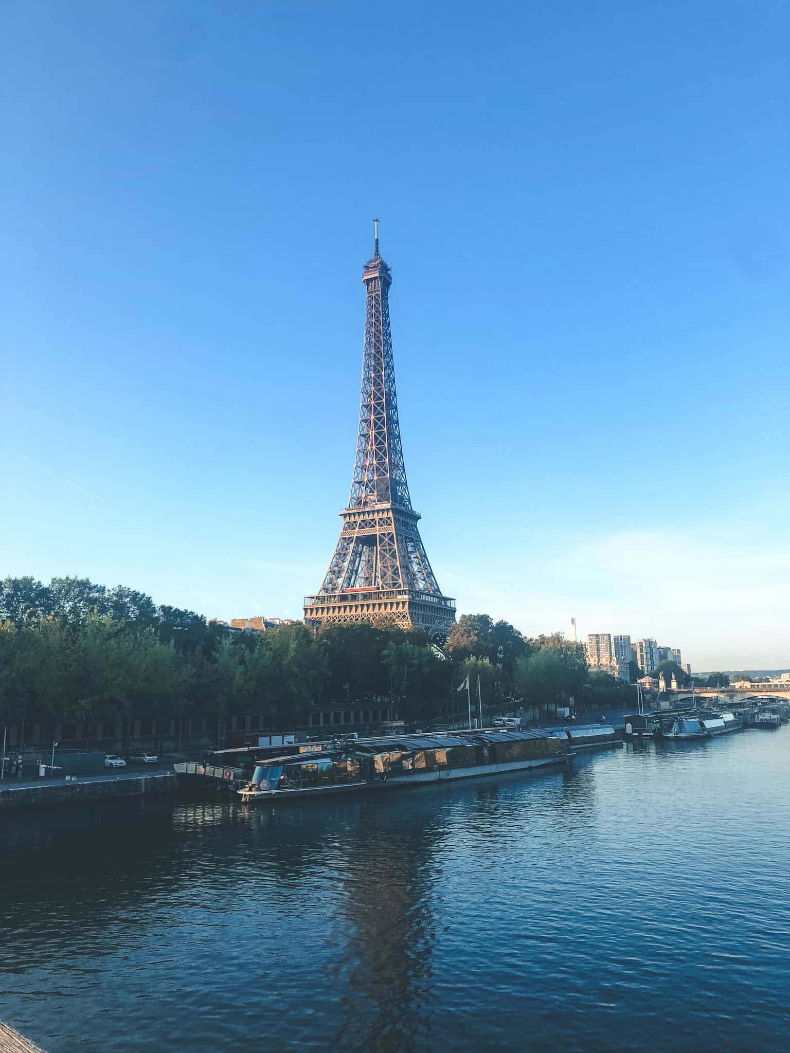 Eiffel Tower viewed from Champ de Mars park, essential things to do in Paris for first-time visitors