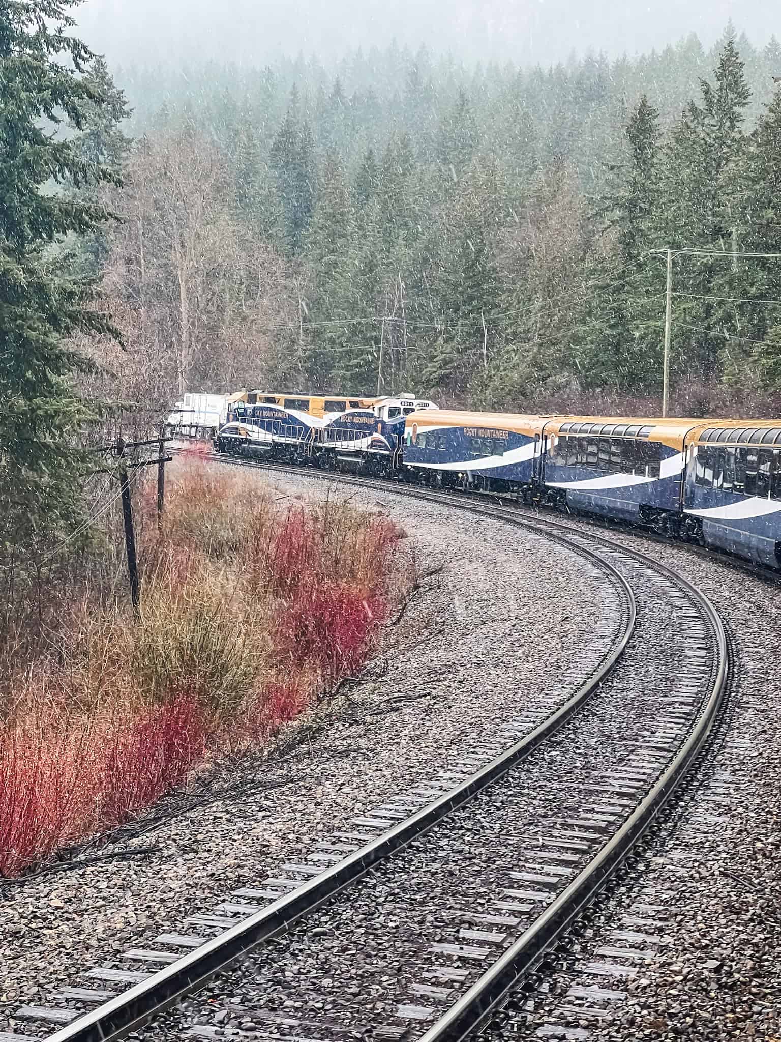 Rocky Mountaineer train winding through snowy forest with GoldLeaf coaches during winter scenic rail journey in British Columbia