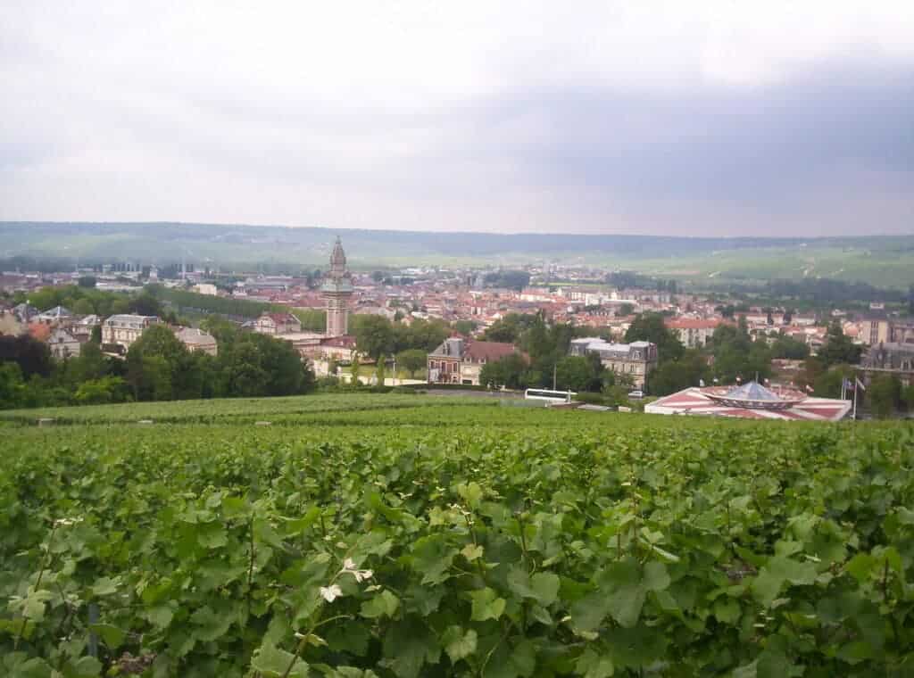 Panoramic view of Epernay vineyards and town during day tour to visit Champagne from Paris