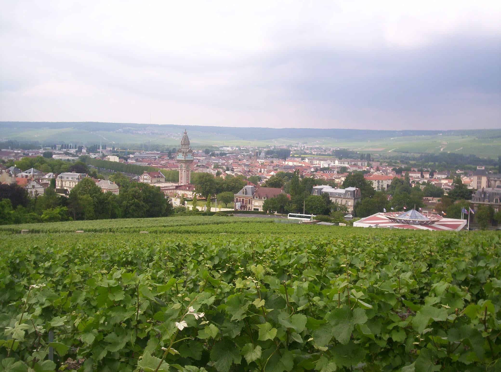 Panoramic view of Epernay vineyards and town during day tour to visit Champagne from Paris