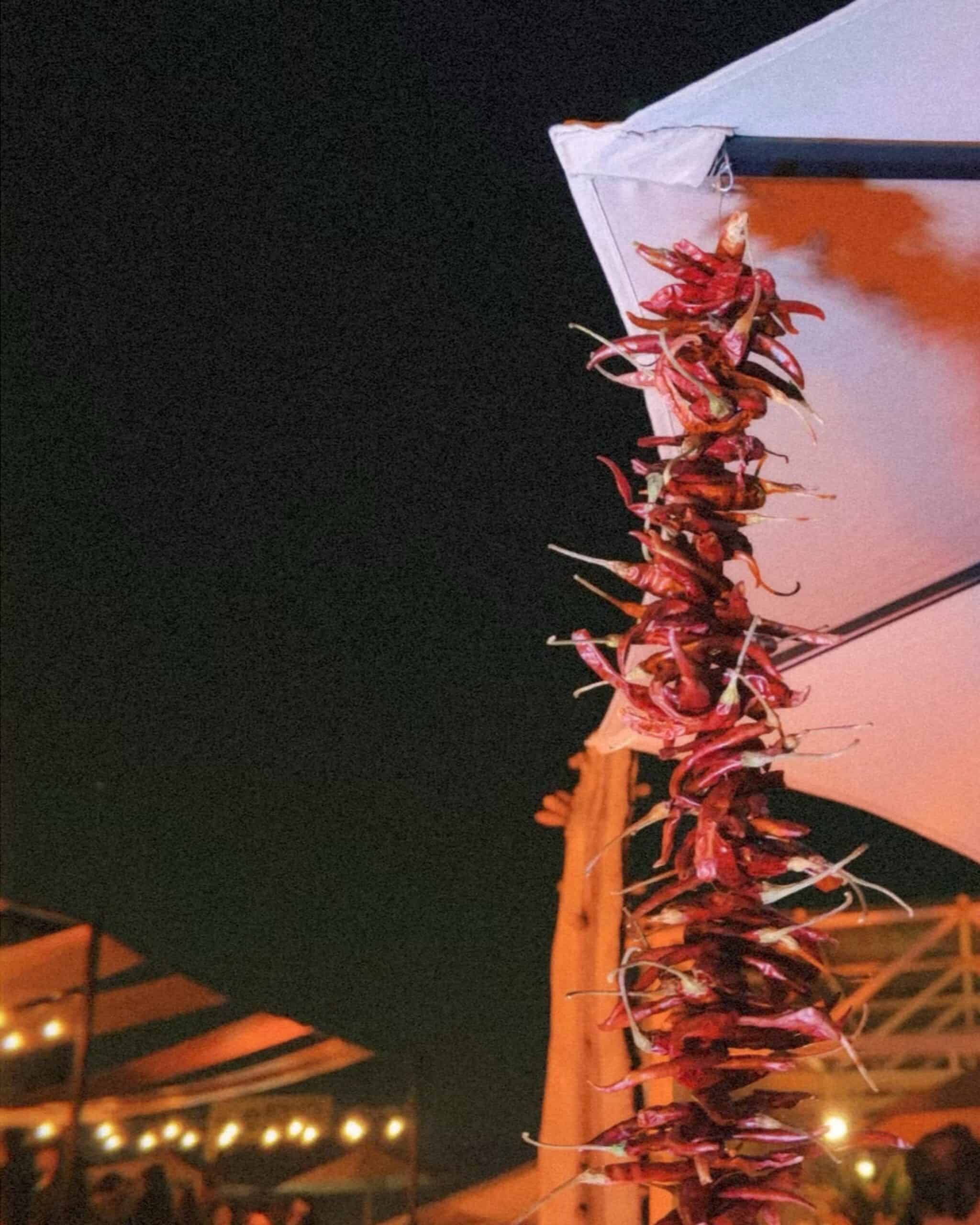 Dried chile pepper garland decoration at nighttime Mexico City art scene outdoor venue