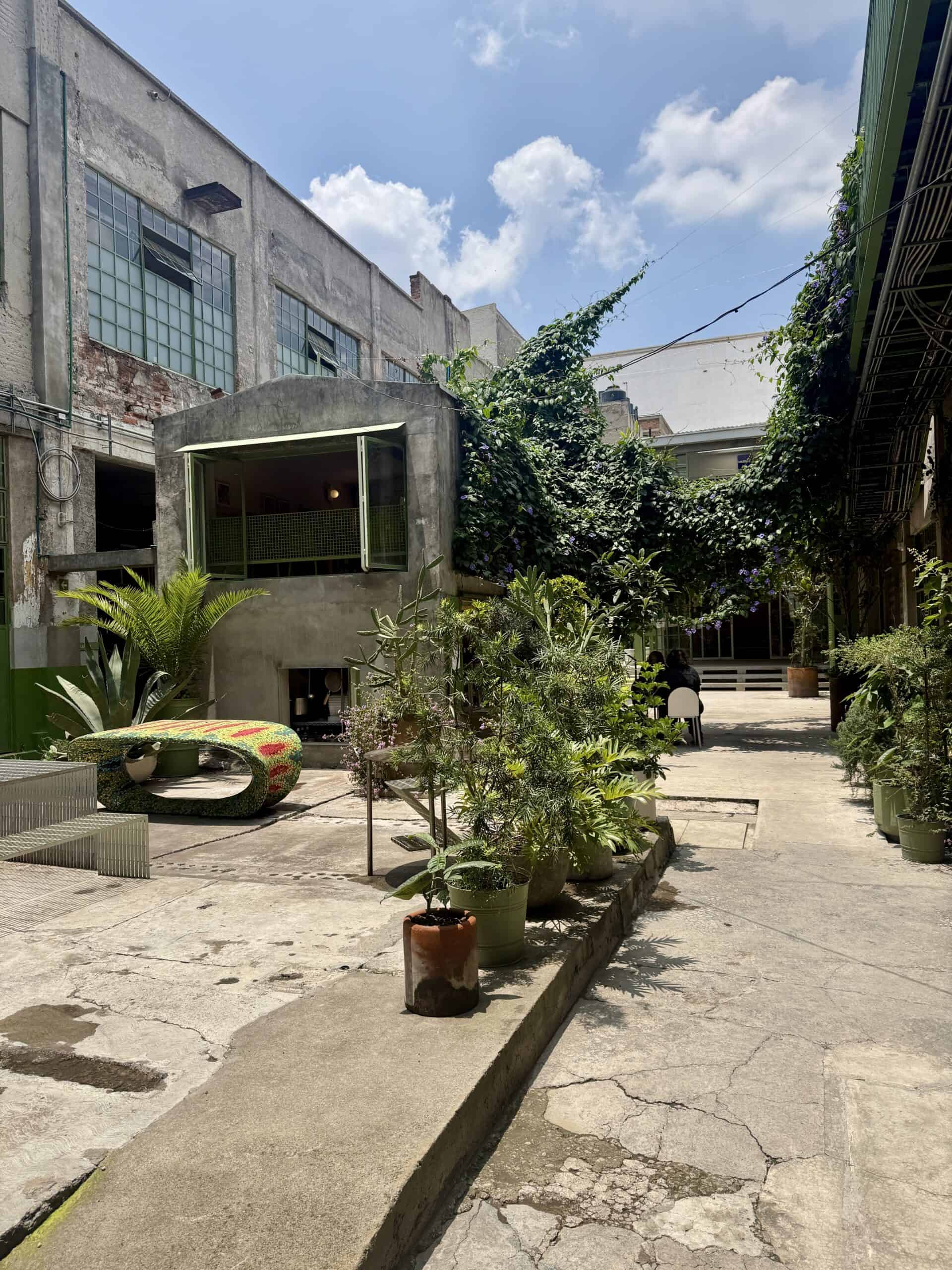 laguna  open space in art week mexico city