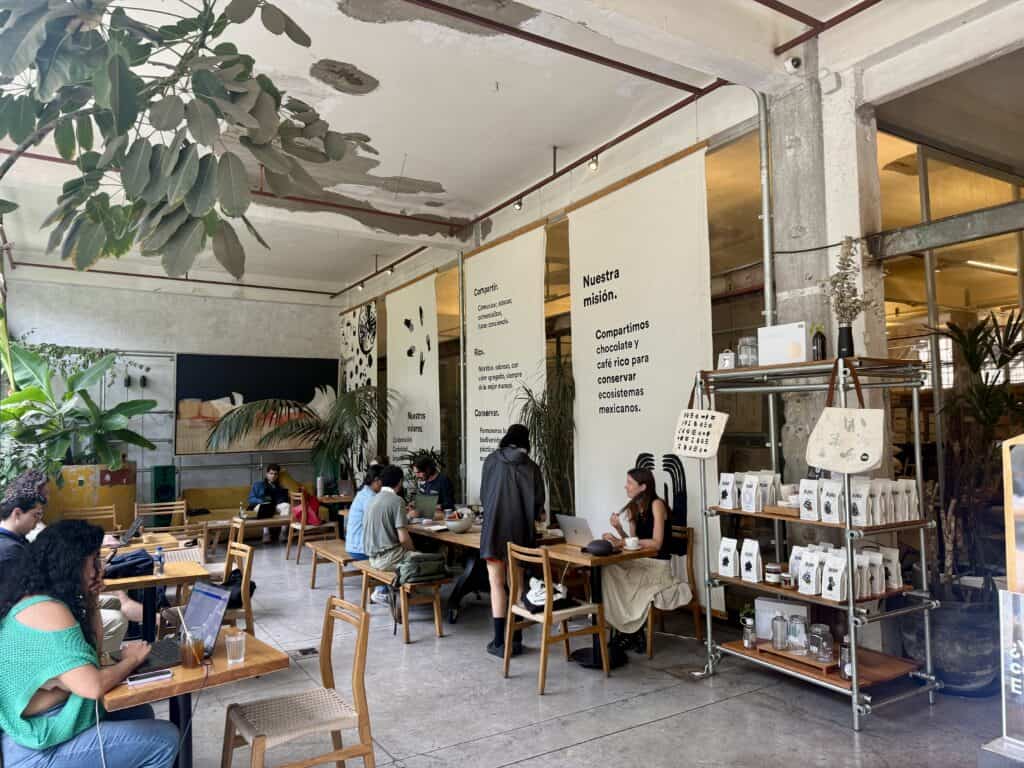 a cafe with people working in laguna open space in art week mexico city