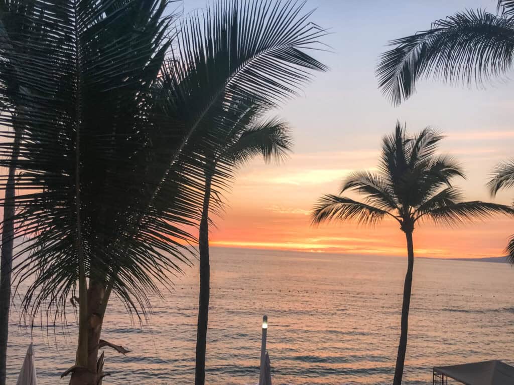 Vibrant orange sunset over the Pacific Ocean framed by palm tree silhouettes in Puerto Vallarta, Mexico beach vacation