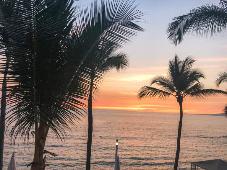 Vibrant orange sunset over the Pacific Ocean framed by palm tree silhouettes in Puerto Vallarta, Mexico beach vacation
