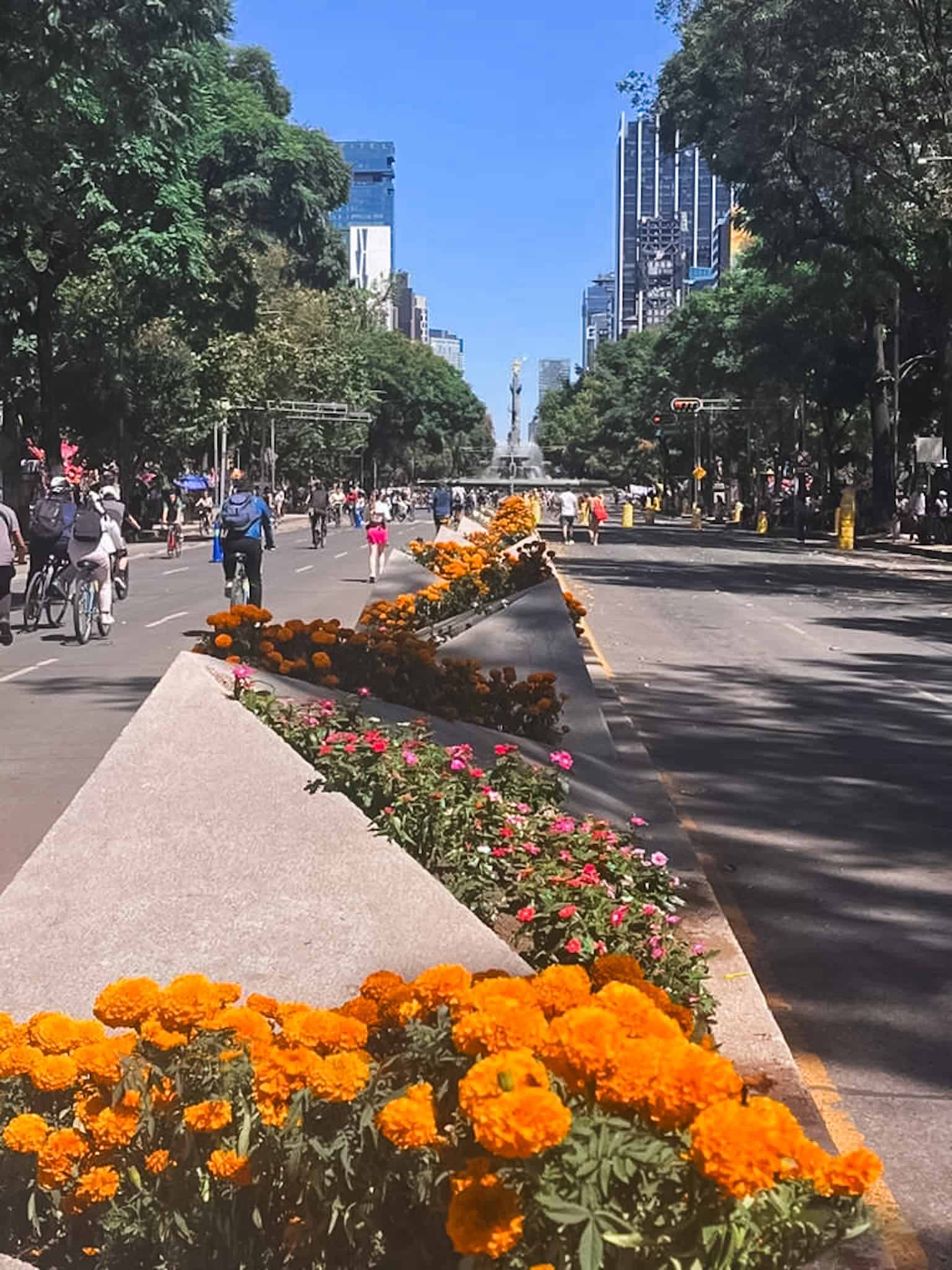 Mexico City Day of the Dead marigold arrangements lining the median of Paseo de la Reforma with the Angel de la Independencia monument visible in the background and cyclists passing by