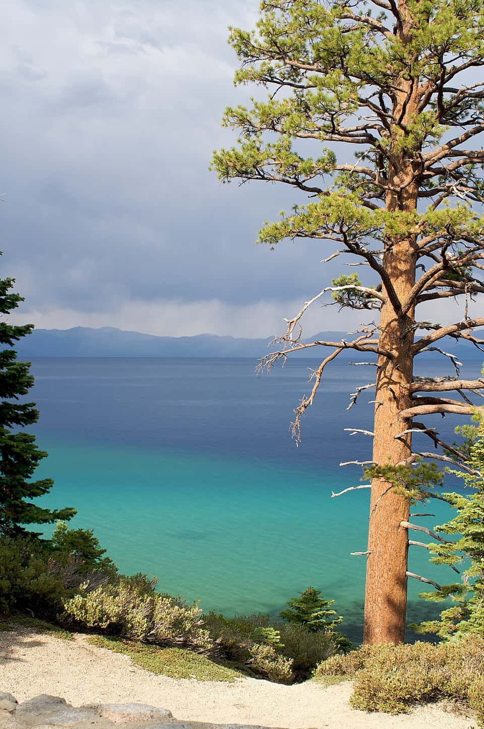View from D.L. Bliss State Park overlooking one of the best Lake Tahoe beaches, with a tall Jeffrey pine in the foreground and the lake's trademark turquoise water fading to deep blue beneath a dramatic stormy sky