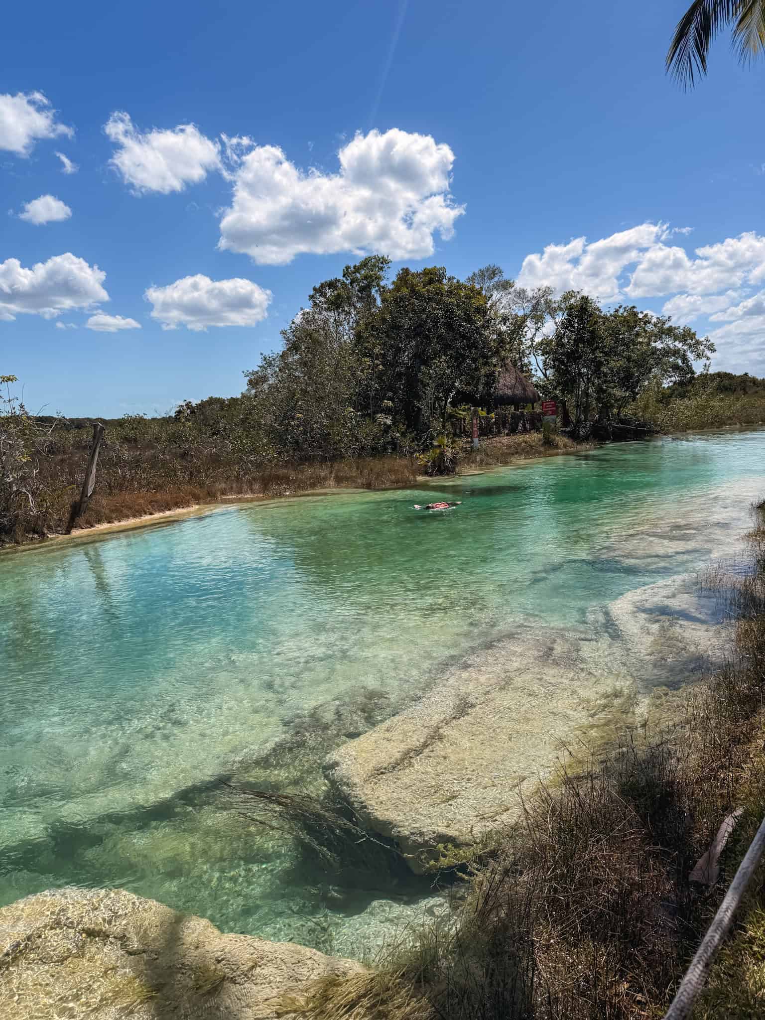Person floating on their back in the turquoise river channel at a Bacalar swimming spot in Mexico, with a thatched palapa and lush trees visible along the bank