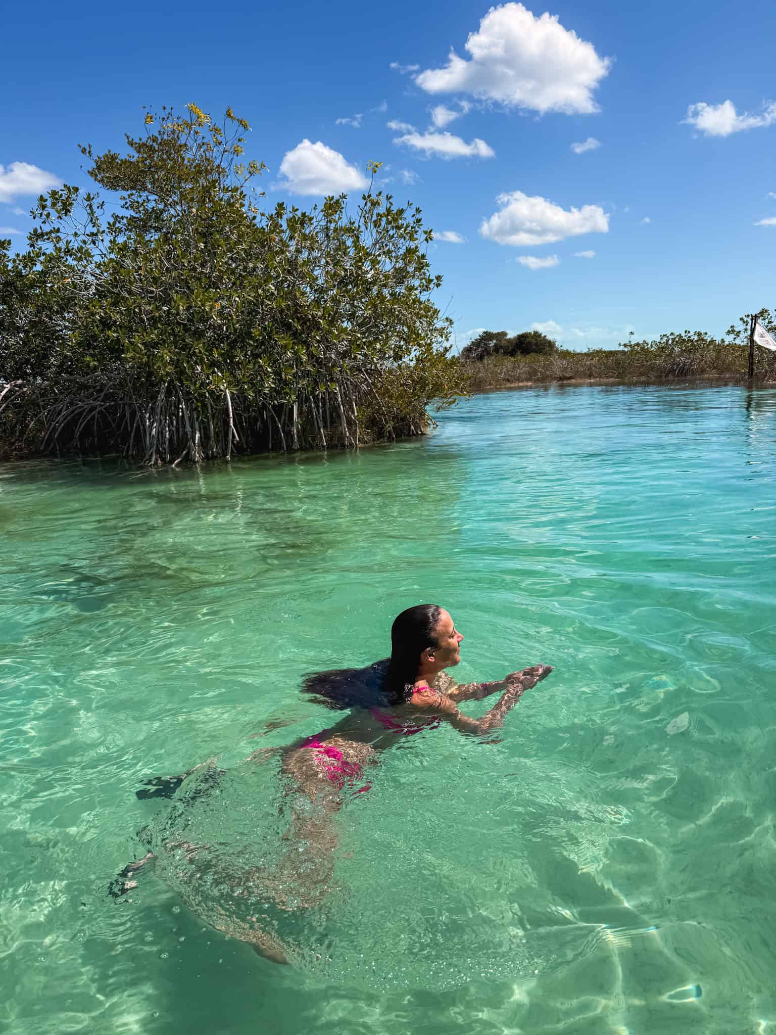 Woman swimming through the shallow turquoise water at a Bacalar lagoon club, surrounded by mangrove trees reflected in the clear green water on a sunny day in Quintana Roo