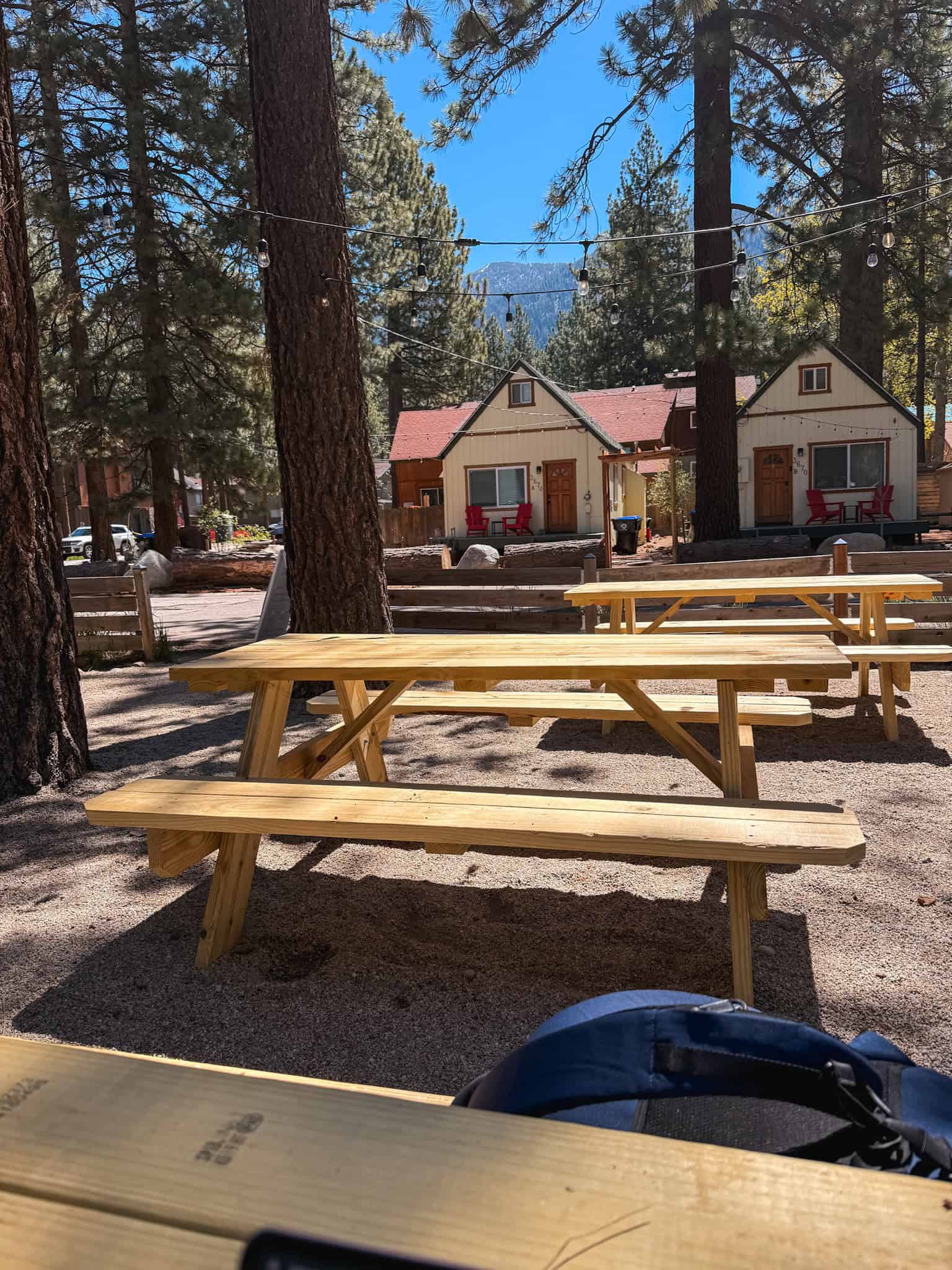 Sunny outdoor picnic tables under pine trees with string lights at a Lake Tahoe café