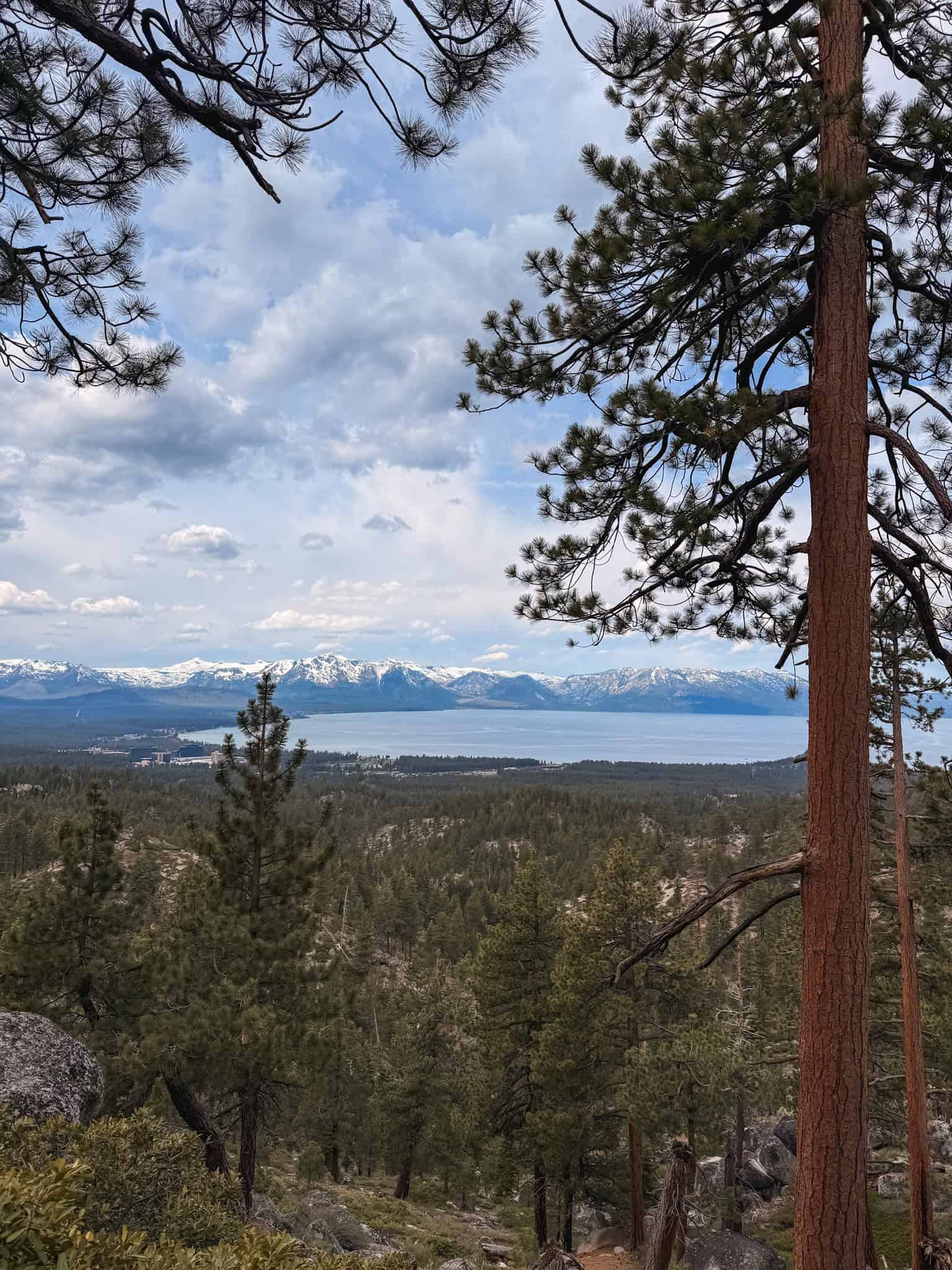 Elevated view of Lake Tahoe and snow-capped Sierra Nevada mountains through pine trees on a South Lake Tahoe hiking trail