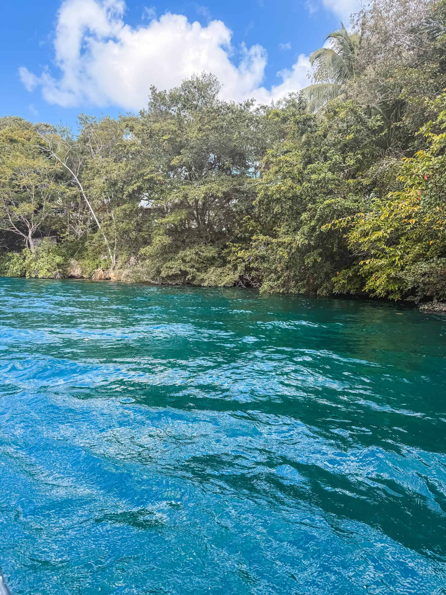 Crystal clear dark blue water surrounded by jungle vegetation in a cenote near Bacalar, a must-do activity on any Bacalar itinerary