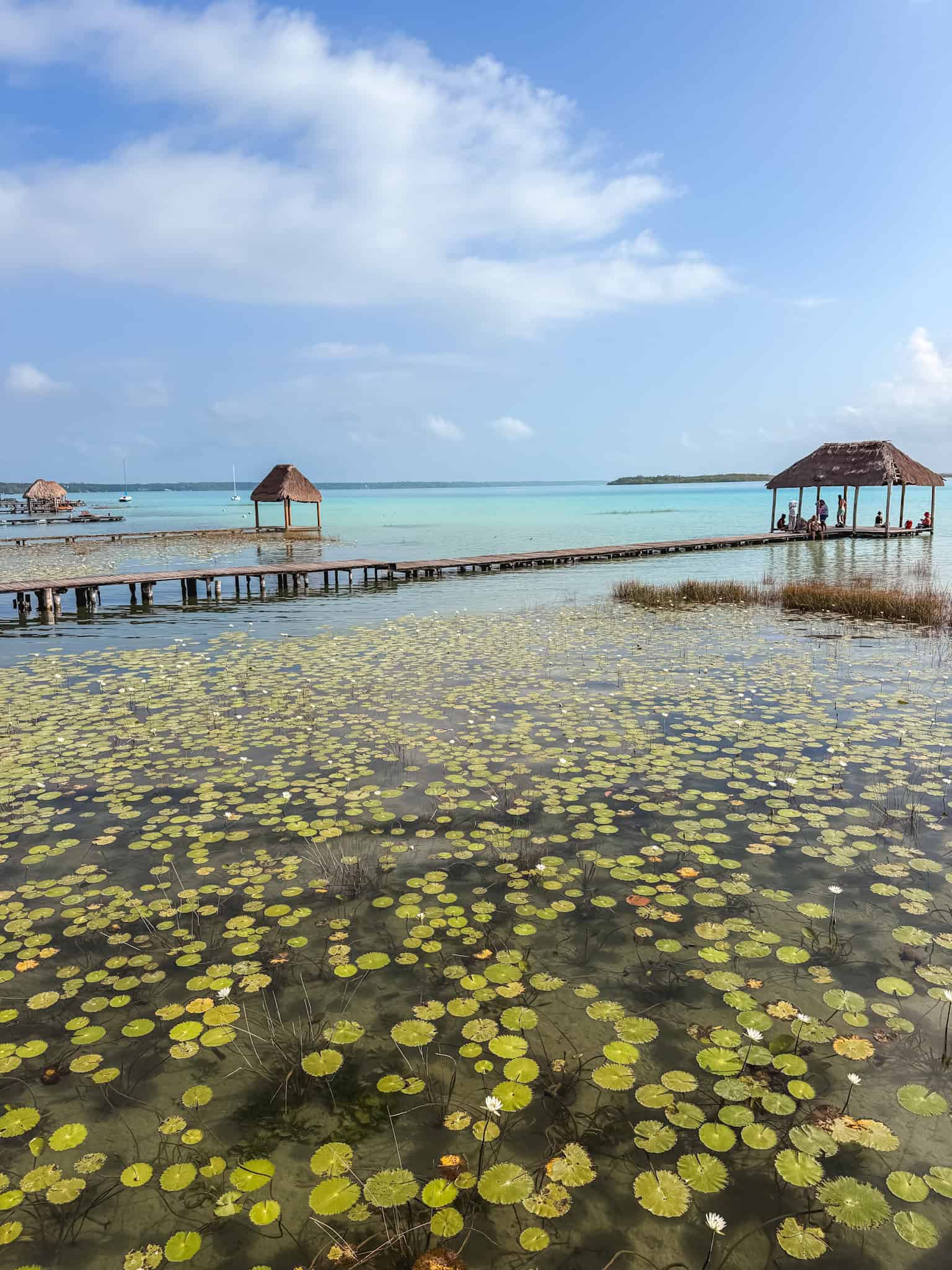 Lily pad-covered shallows leading to a long wooden pier with thatched palapas on Lake Bacalar, a popular spot for photos and swimming