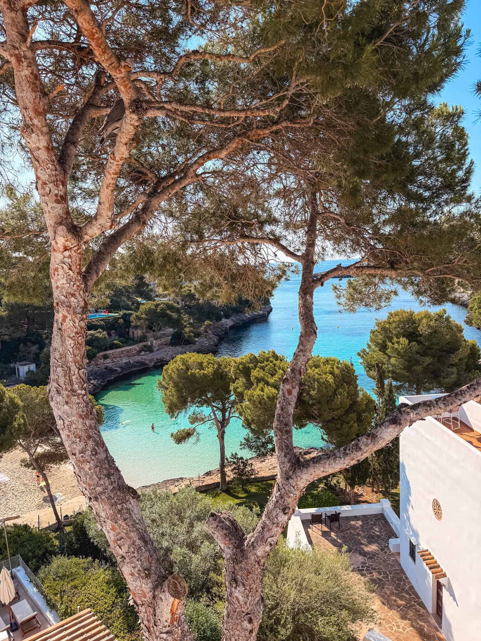 View of Cala d'Or's turquoise cove framed by Mediterranean pine trees