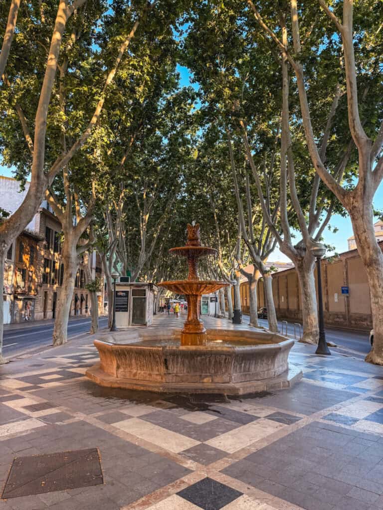 Tree-lined promenade and historic fountain in Palma Old Town, Mallorca