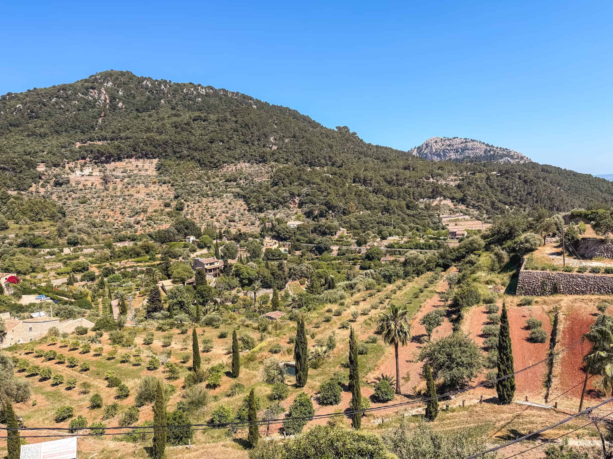 Mountain and olive grove views in the Sóller Valley, Mallorca