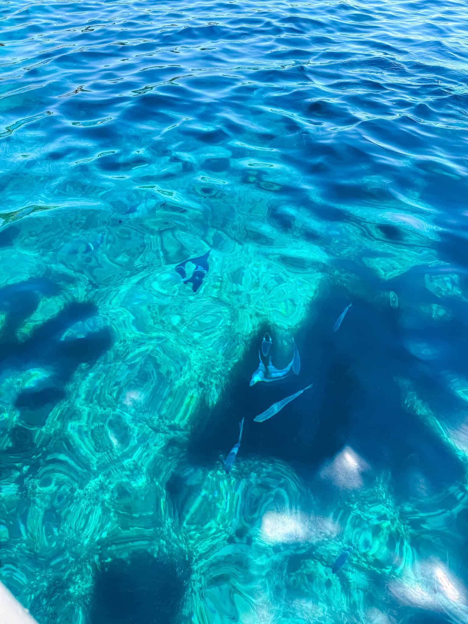 Small fish swimming beneath the clear water, visible looking down from the boat.