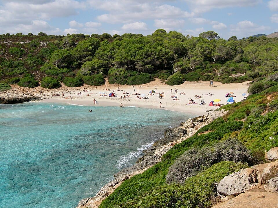 Cala Varques coastline with clear shallow water meeting a rugged, undeveloped shore, one of the best beaches in Mallorca for a quiet swim