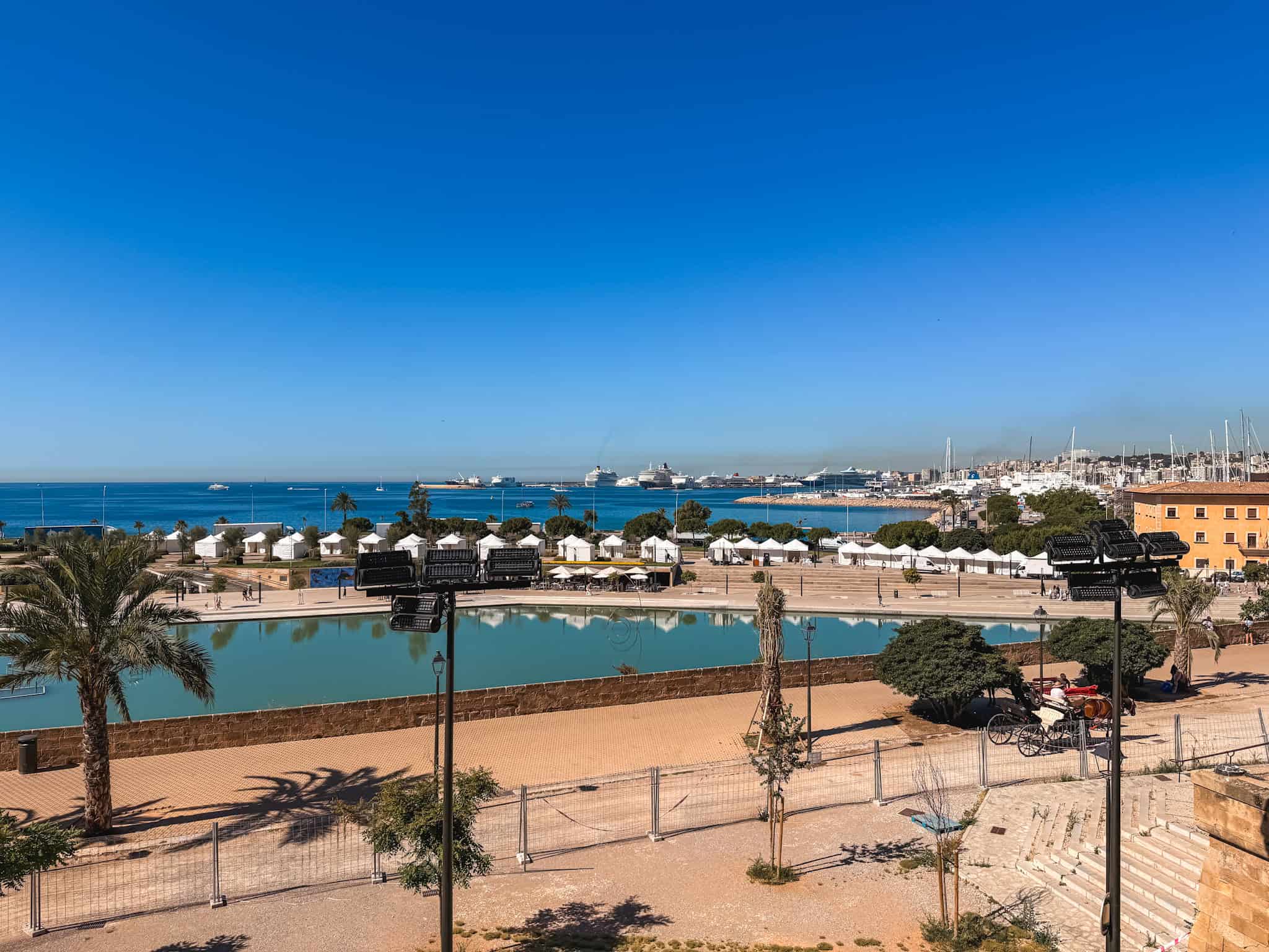 View of Palma harbor with cruise ships and palm trees lining the historic waterfront promenade