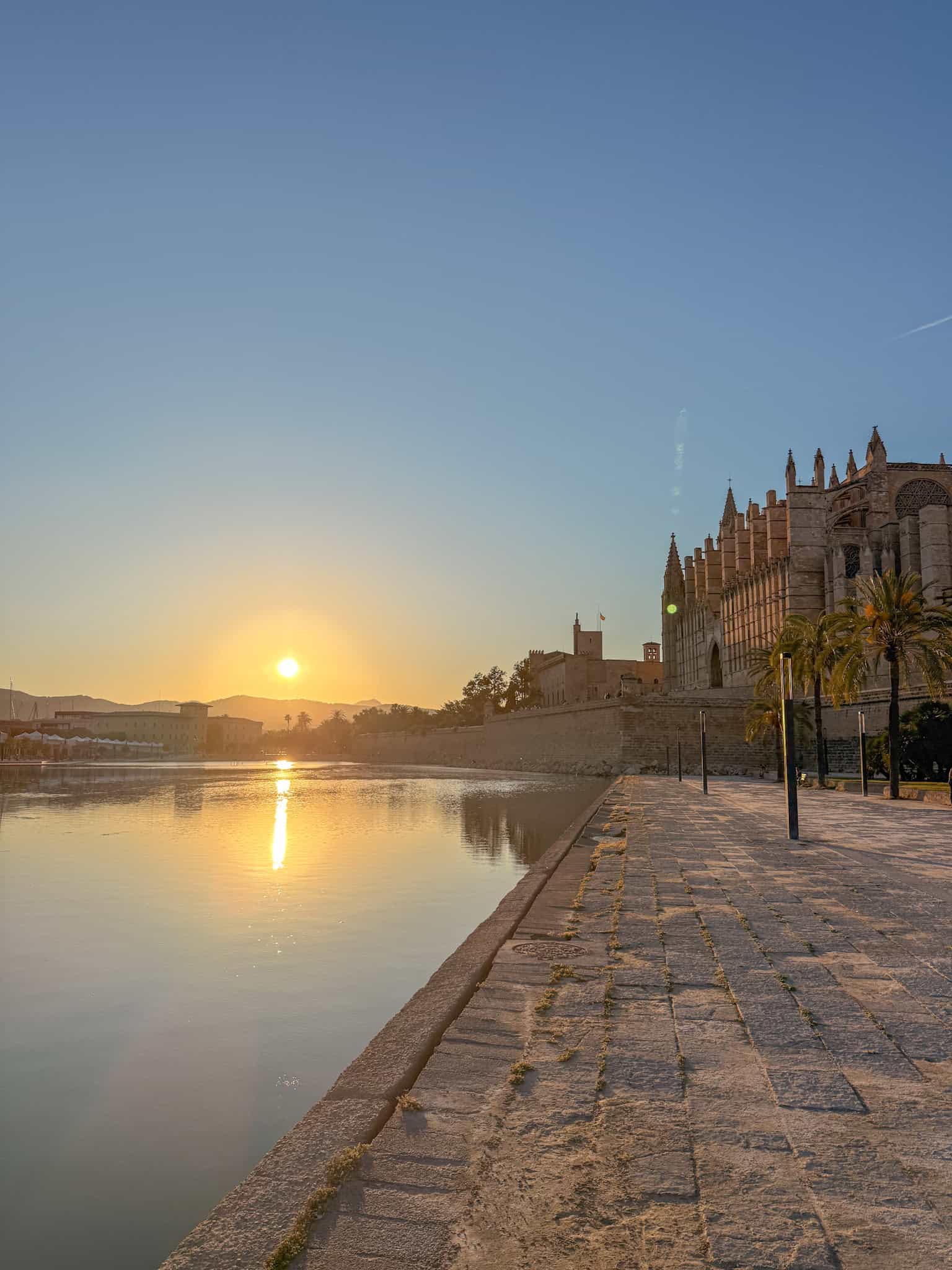 Palma Cathedral La Seu reflected in the water at sunset, Mallorca