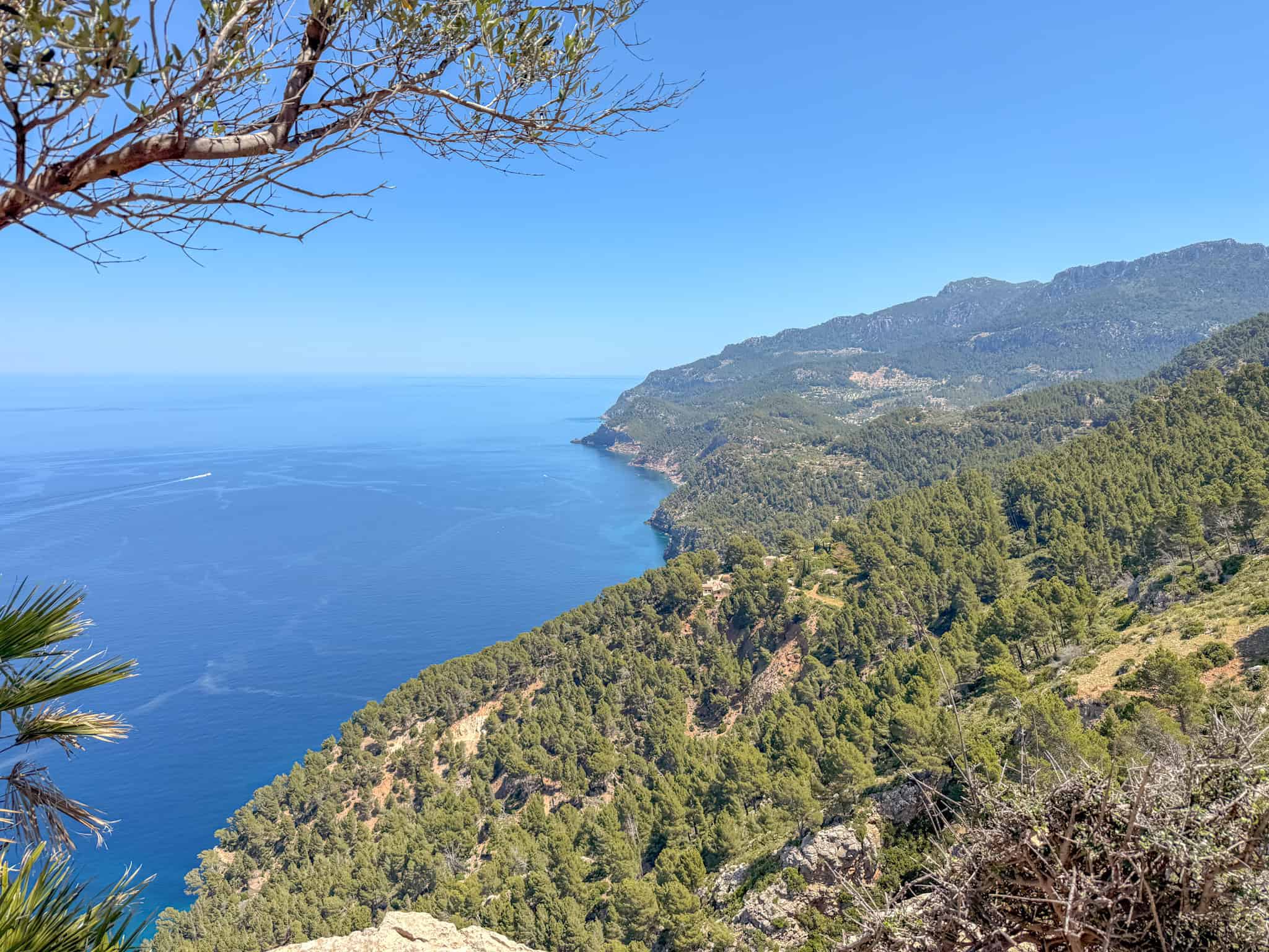 Aerial coastal cliff view along Mallorca's Tramuntana coastline, dramatic scenery near where to stay in Mallorca's northwest resorts