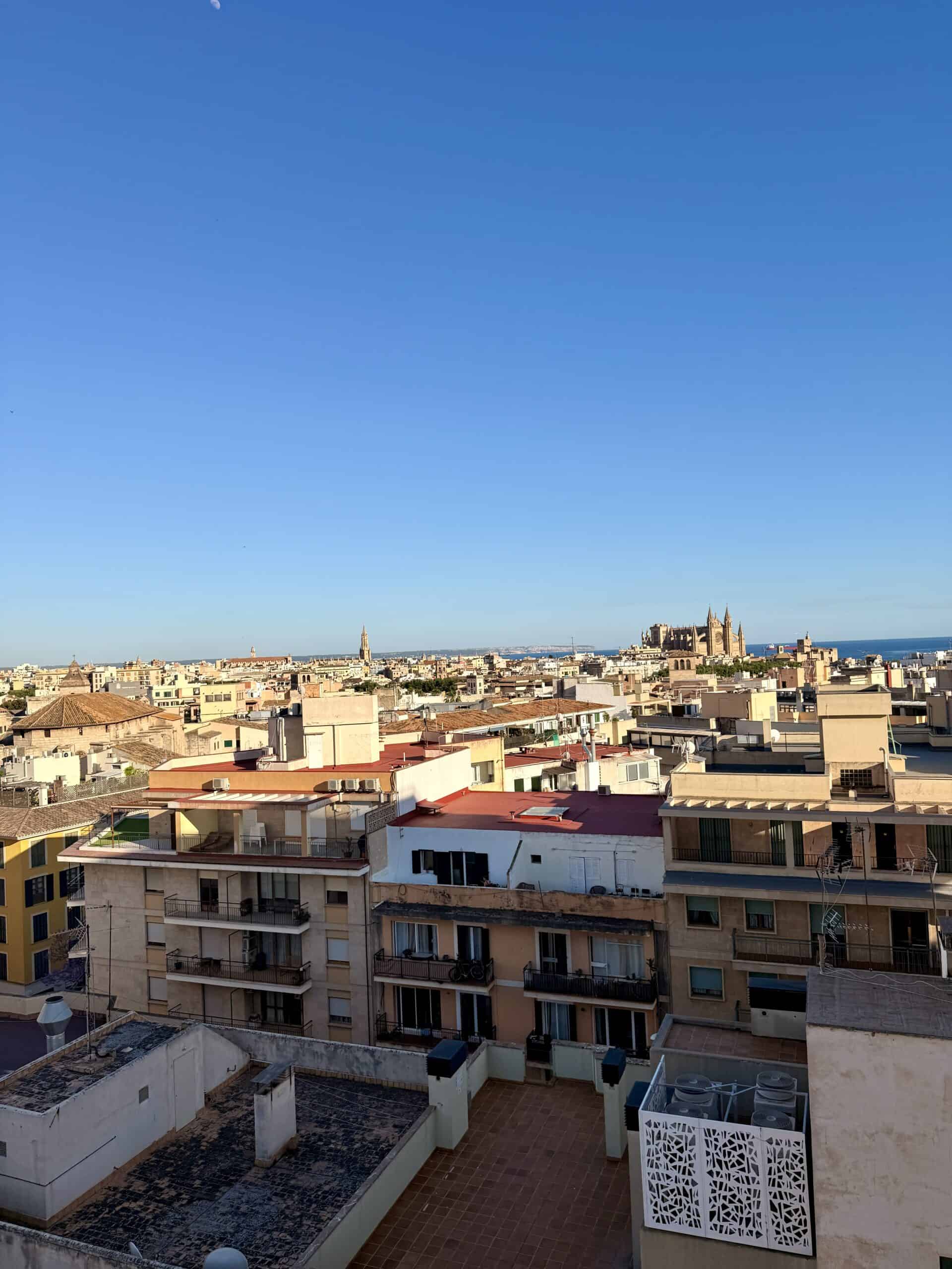 view of palma and the cathedral under a blue sky